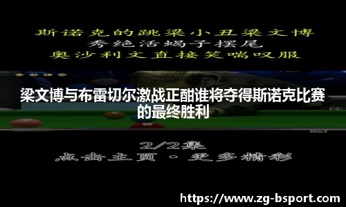 B体育网址
