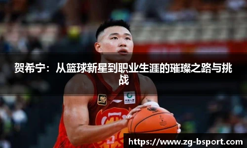 贺希宁：从篮球新星到职业生涯的璀璨之路与挑战